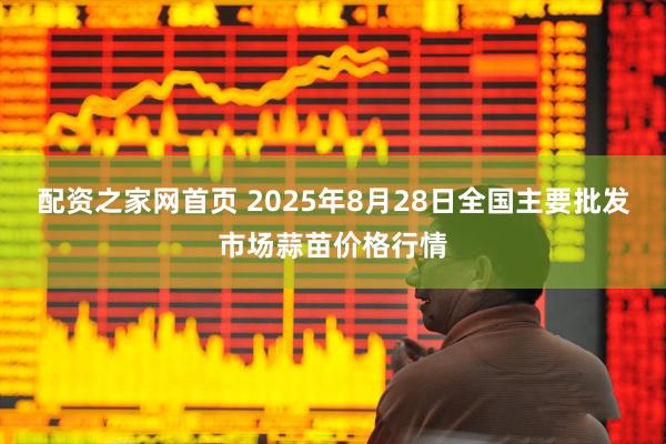 配资之家网首页 2025年8月28日全国主要批发市场蒜苗价格行情